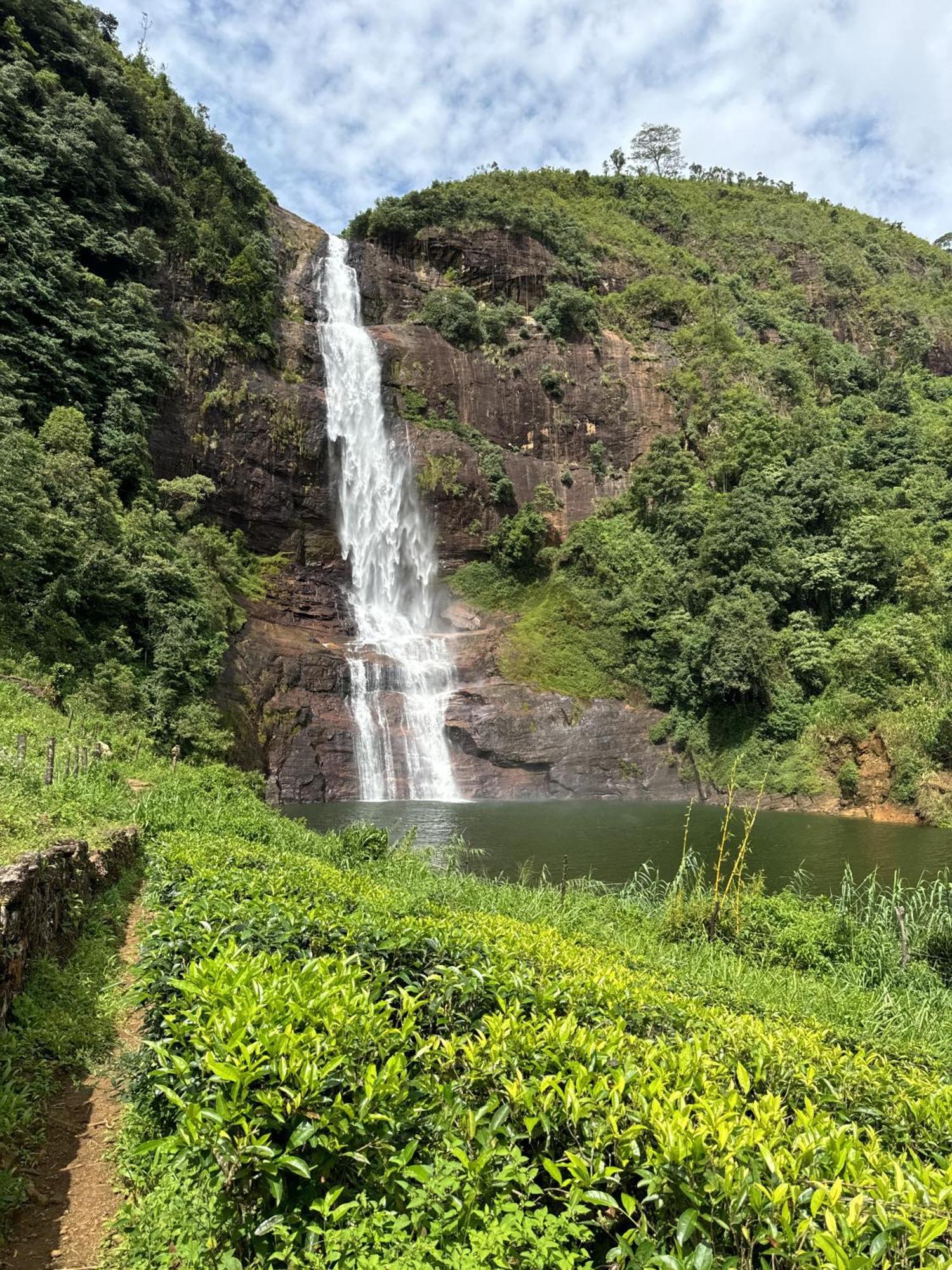 Pekoe Lodge Maskeliya Exteriör bild